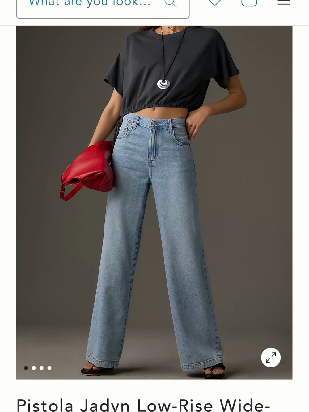 pistola Light Blue Wide-Leg Low-Rise Jeans